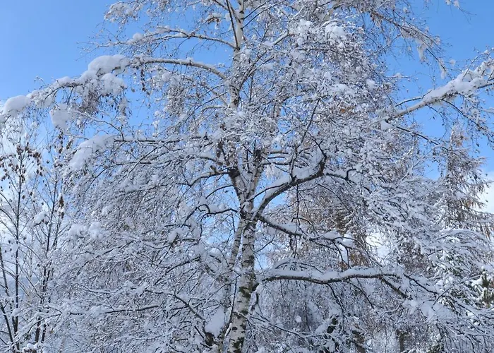 Apart Otel Sci Sport 3*